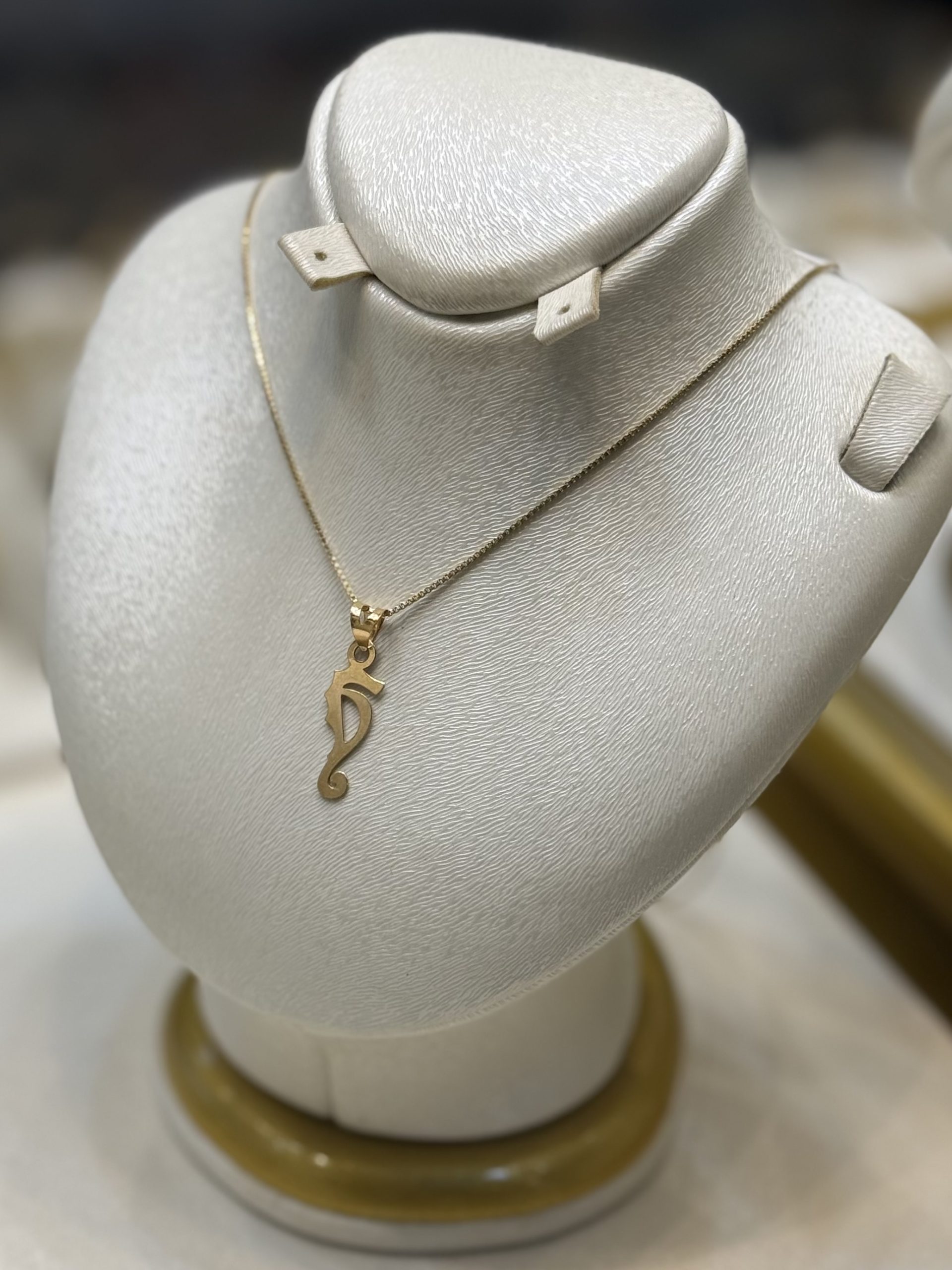 IMG_5705 پلاک لیزری اسب دریایی - تصویر 1